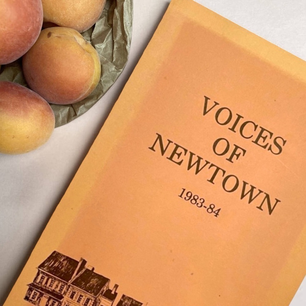 Voices of Newtown 1983-1984 Paperback Book